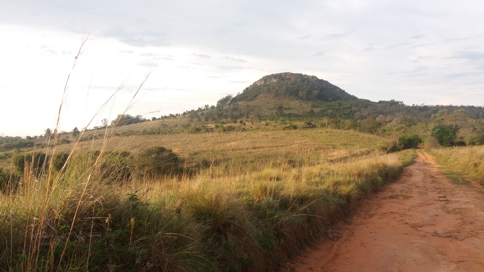 A reserva Fazenda Morro de Sapucaia, em Sapucaia do Sul, é uma das propriedades incluídas no Pepsa